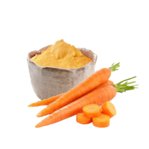 Dehydrated Indian Carrot Powder